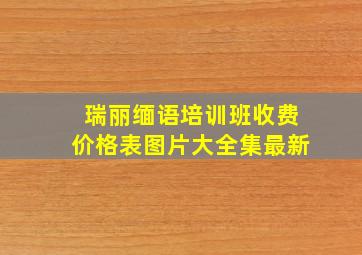 瑞丽缅语培训班收费价格表图片大全集最新