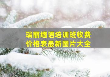 瑞丽缅语培训班收费价格表最新图片大全