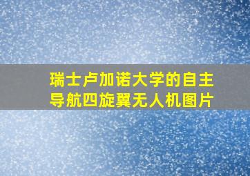 瑞士卢加诺大学的自主导航四旋翼无人机图片