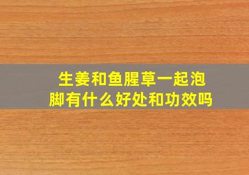 生姜和鱼腥草一起泡脚有什么好处和功效吗