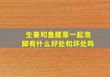 生姜和鱼腥草一起泡脚有什么好处和坏处吗