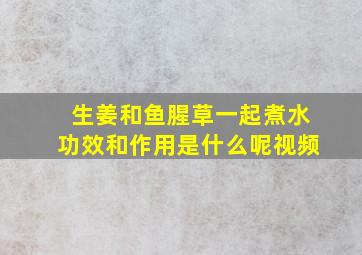 生姜和鱼腥草一起煮水功效和作用是什么呢视频