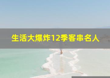 生活大爆炸12季客串名人