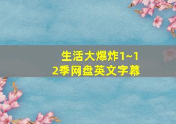 生活大爆炸1~12季网盘英文字幕