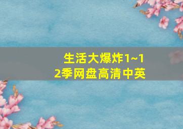 生活大爆炸1~12季网盘高清中英