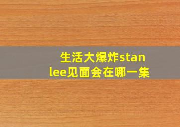 生活大爆炸stanlee见面会在哪一集