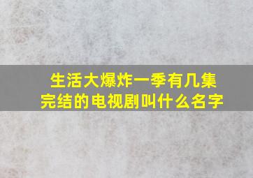 生活大爆炸一季有几集完结的电视剧叫什么名字