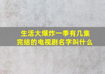 生活大爆炸一季有几集完结的电视剧名字叫什么