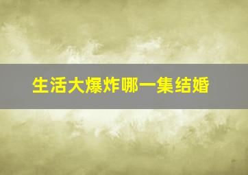 生活大爆炸哪一集结婚