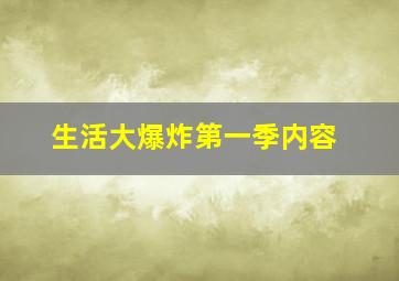 生活大爆炸第一季内容