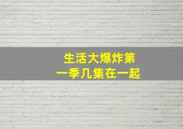 生活大爆炸第一季几集在一起