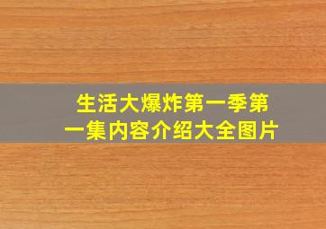 生活大爆炸第一季第一集内容介绍大全图片