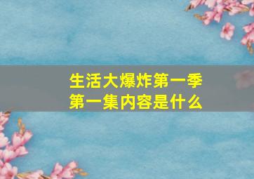 生活大爆炸第一季第一集内容是什么