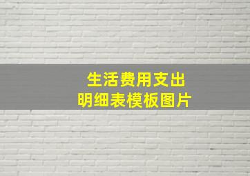 生活费用支出明细表模板图片