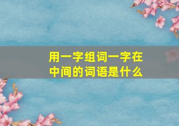 用一字组词一字在中间的词语是什么