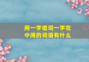 用一字组词一字在中间的词语有什么