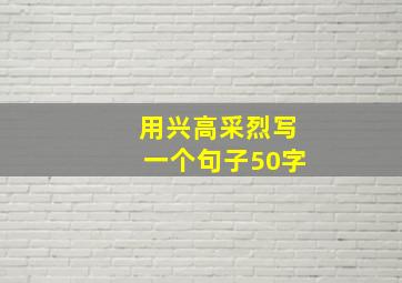 用兴高采烈写一个句子50字