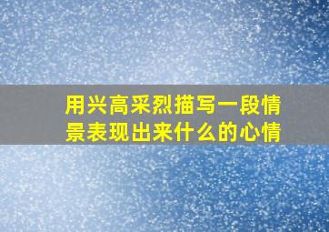 用兴高采烈描写一段情景表现出来什么的心情