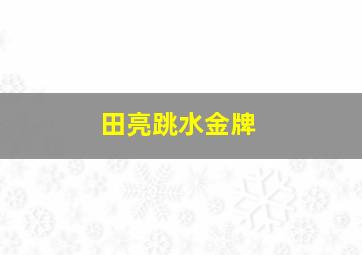 田亮跳水金牌