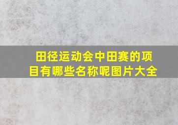 田径运动会中田赛的项目有哪些名称呢图片大全