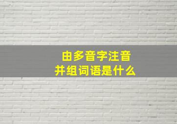 由多音字注音并组词语是什么