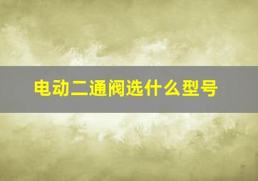 电动二通阀选什么型号