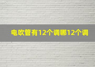 电吹管有12个调哪12个调