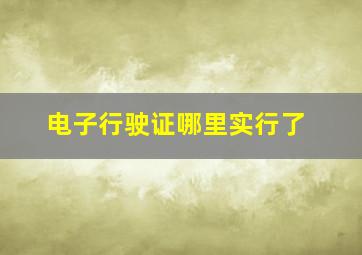 电子行驶证哪里实行了