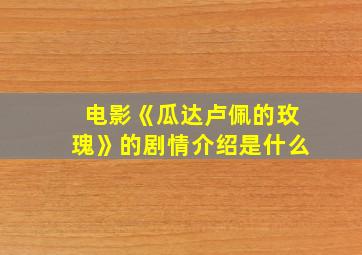 电影《瓜达卢佩的玫瑰》的剧情介绍是什么