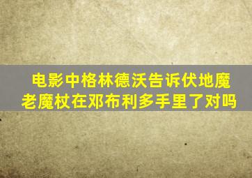 电影中格林德沃告诉伏地魔老魔杖在邓布利多手里了对吗