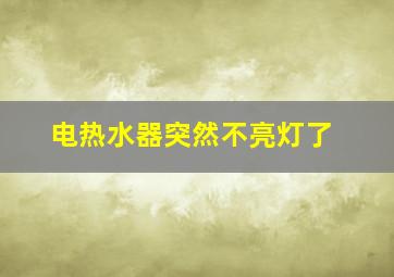 电热水器突然不亮灯了