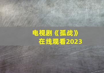 电视剧《孤战》在线观看2023