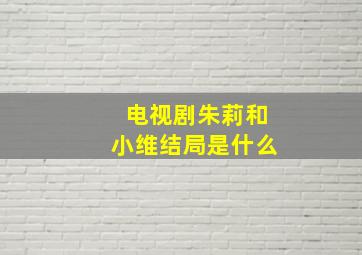 电视剧朱莉和小维结局是什么