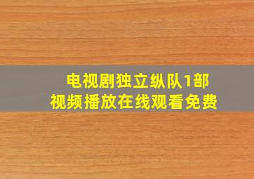 电视剧独立纵队1部视频播放在线观看免费