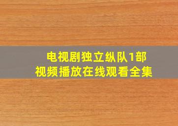 电视剧独立纵队1部视频播放在线观看全集