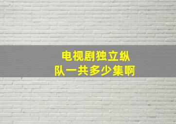 电视剧独立纵队一共多少集啊