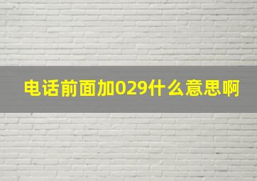 电话前面加029什么意思啊