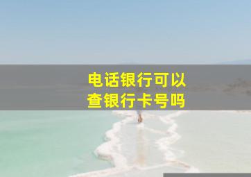 电话银行可以查银行卡号吗