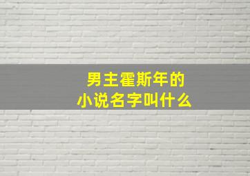 男主霍斯年的小说名字叫什么