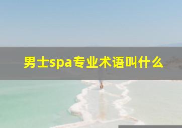 男士spa专业术语叫什么