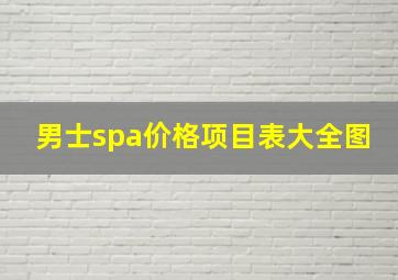 男士spa价格项目表大全图