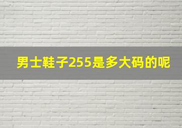 男士鞋子255是多大码的呢