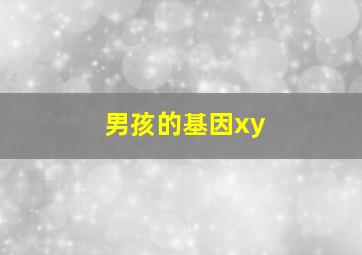 男孩的基因xy