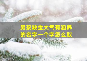 男孩缺金大气有涵养的名字一个字怎么取