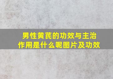 男性黄芪的功效与主治作用是什么呢图片及功效