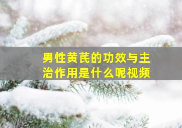 男性黄芪的功效与主治作用是什么呢视频