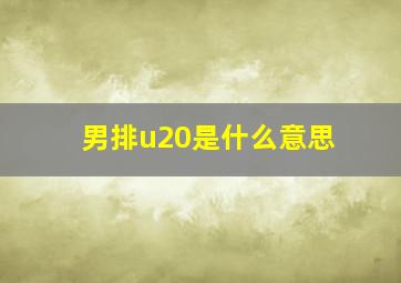 男排u20是什么意思