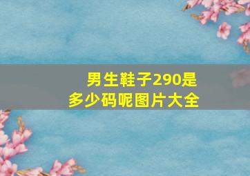 男生鞋子290是多少码呢图片大全