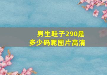 男生鞋子290是多少码呢图片高清