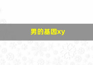 男的基因xy